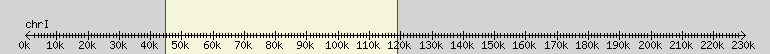 __scale__ overview