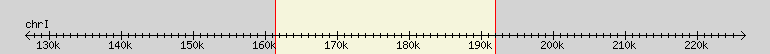 __scale__ region