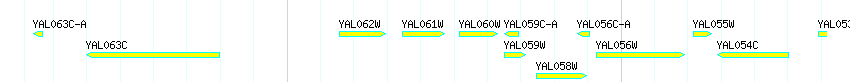 Genes detail