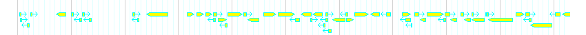 Genes detail