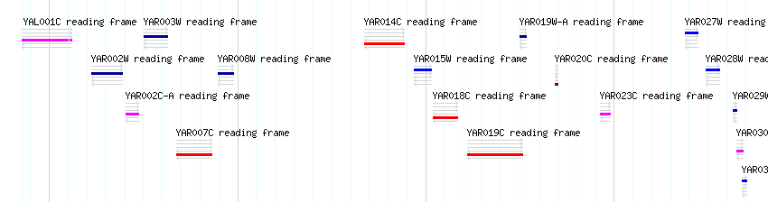 CDS detail