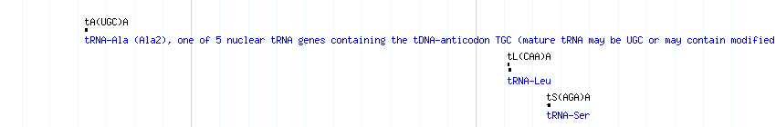 tRNAs detail