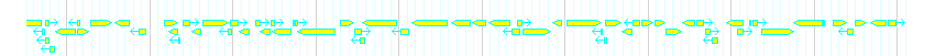 Genes detail