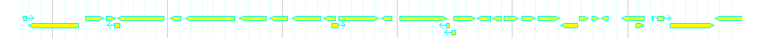 Genes detail