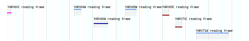 CDS detail