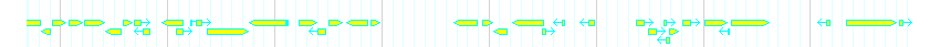Genes detail