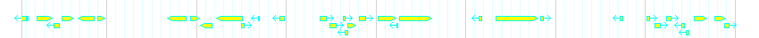 Genes detail