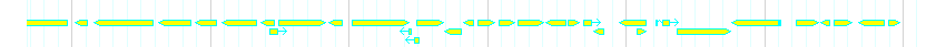 Genes detail
