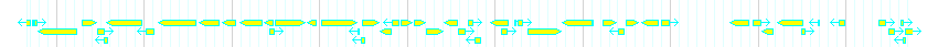 Genes detail