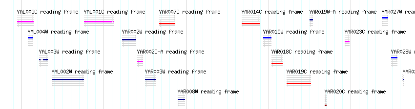 CDS detail