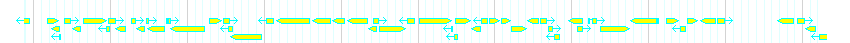Genes detail