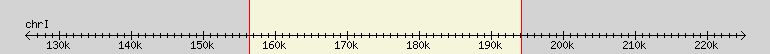 __scale__ region