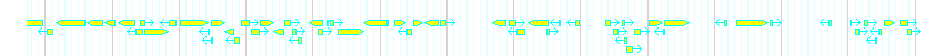 Genes detail