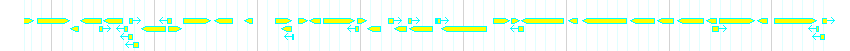 Genes detail