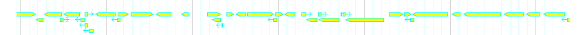 Genes detail