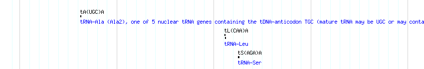 tRNAs detail