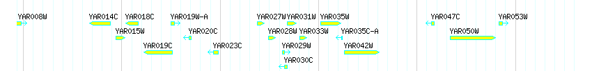 Genes detail