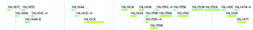 Genes detail