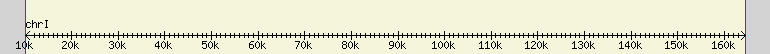 __scale__ region