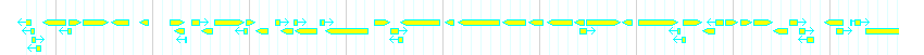 Genes detail