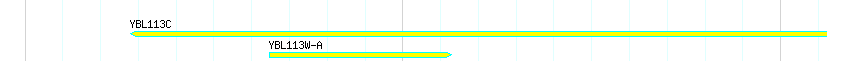 Genes detail