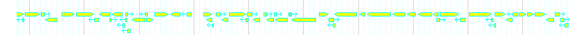 Genes detail