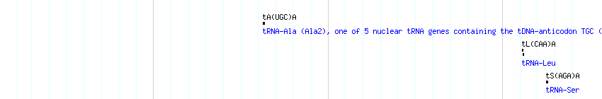 tRNAs detail