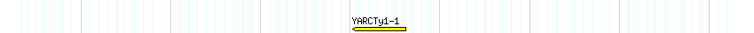 Transp detail