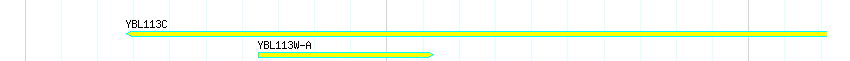 Genes detail