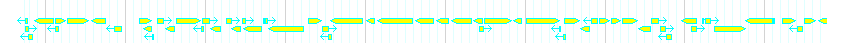 Genes detail