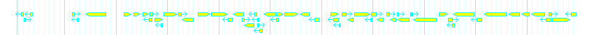 Genes detail