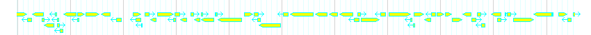 Genes detail