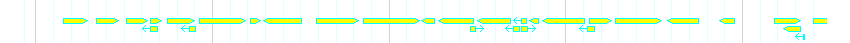 Genes detail