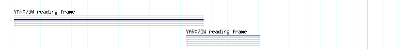 CDS detail