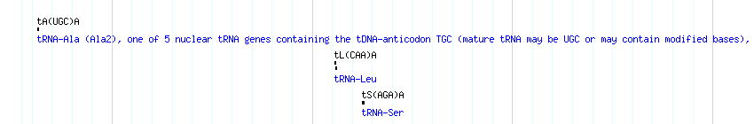 tRNAs detail