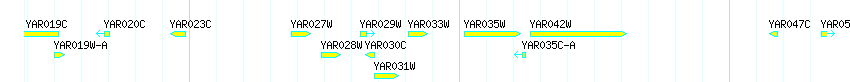 Genes detail