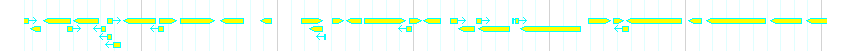 Genes detail
