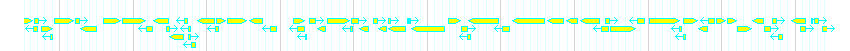 Genes detail