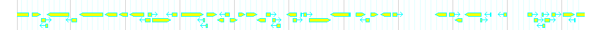 Genes detail
