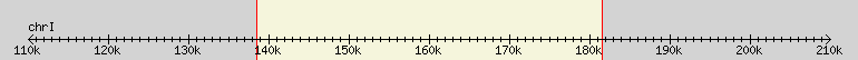 __scale__ region