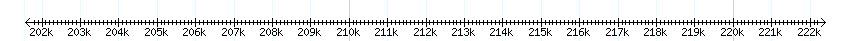__scale__ detail