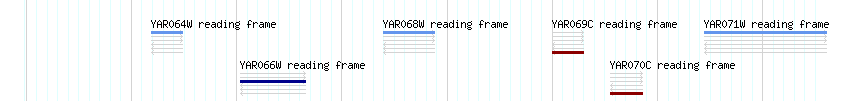 CDS detail