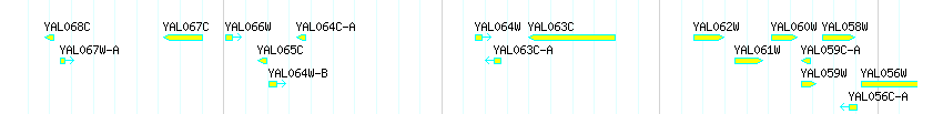 Genes detail