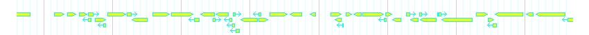 Genes detail