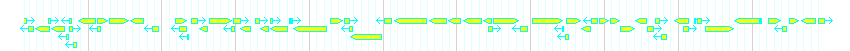 Genes detail