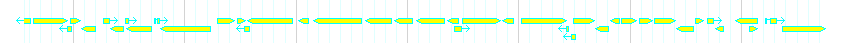 Genes detail