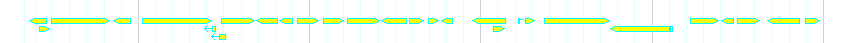 Genes detail