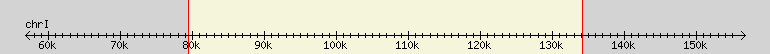 __scale__ region