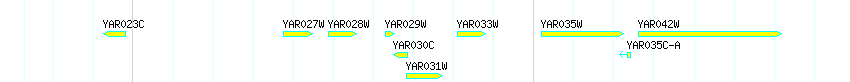 Genes detail