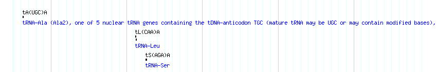 tRNAs detail